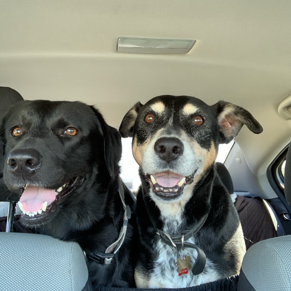 Meet your Posher, Shan